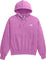 The North Face Evolution Vintage Hoodie - Men's - Dragonfruit