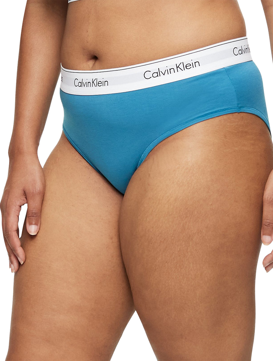Calvin Klein Modern Cotton Plus Size Hipster - Women's