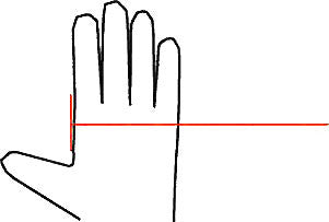 Placing your index finger next to the red line as shown