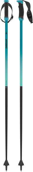 Atomic Redster X Carbon SQS Ski Poles