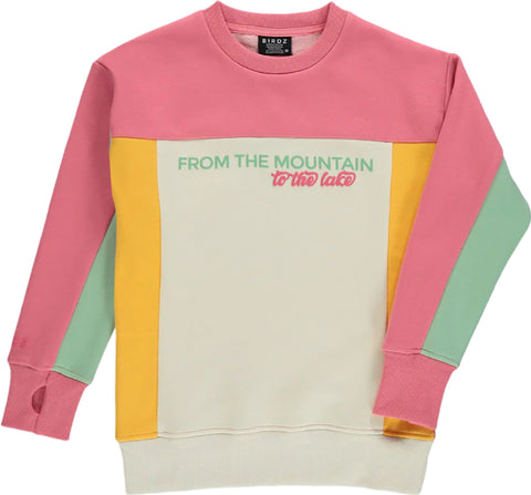 Birdz From The Mountain To The Lake Colorblock Sweater - Girls
