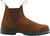 Blundstone 2544 Classics Boots - Unisex - Teak