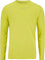 Craft ADV Essence 2 Long Sleeve T-Shirt - Men's - Pear