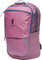 Cotopaxi Allpa 26L Daypack - Unisex - Fig