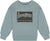 Deux par Deux Animated Print French Terry Sweatshirt - Big Boy - Sage Green