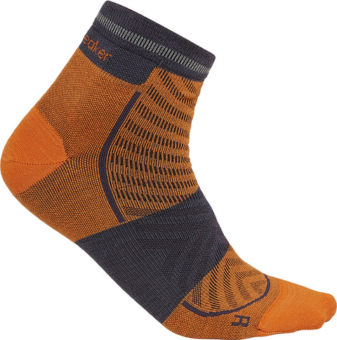 icebreaker Merino Blend Run+ Ultralight Mini Socks - Men's