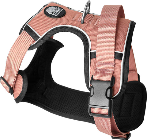 Kuma Outdoor Gear Lazy Bear Dog Harness