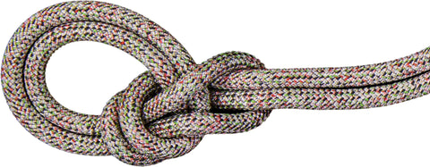 Mammut 9.5 Crag We Care Classic Rope 70m