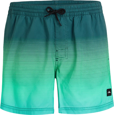O'Neill Cali Gradient Volley Swim Shorts 15'' - Men's