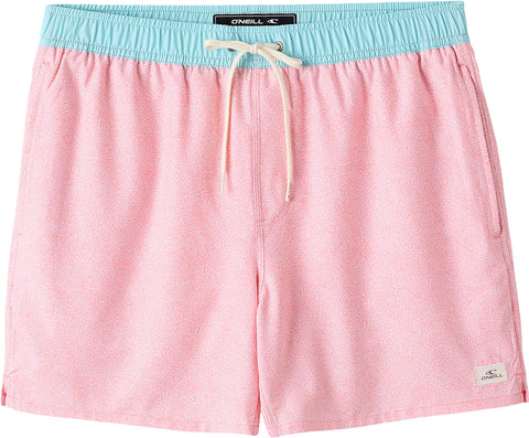 O'Neill Hermosa Volley Light Lined Trunks 15
