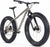 Panorama Cycles Torngat Ti Fat Bike - Brushed