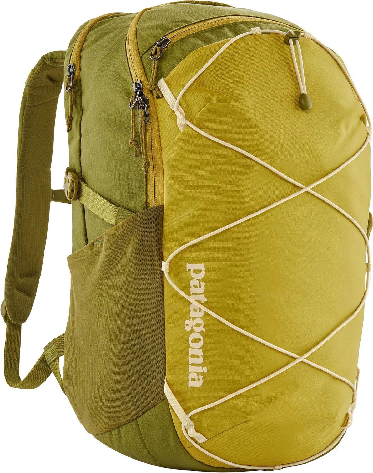 Patagonia Refugio Day Pack 30L | Altitude Sports