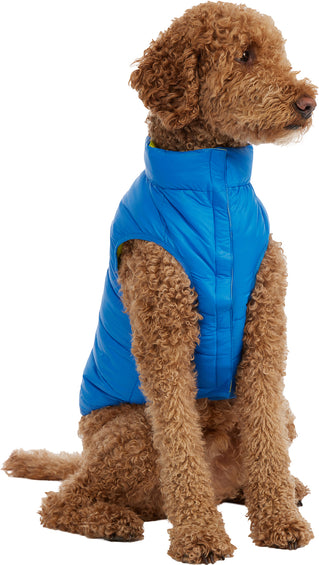 Pajar Cora Reversible Packable Puffer Jacket for Dogs