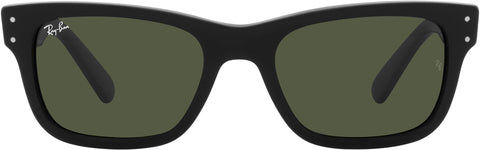Ray-Ban Burbank Sunglasses