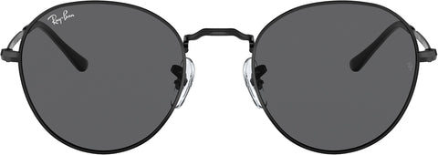 Ray-Ban David Sunglasses