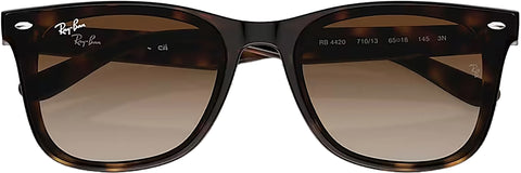 Ray-Ban RB4420 Sunglasses