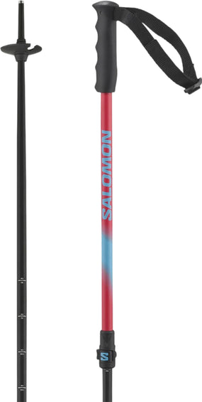Salomon MTN Alpine Ski Poles - Kids