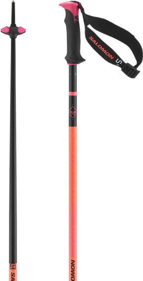 Salomon Polar Pro S3 Alpine Ski Poles