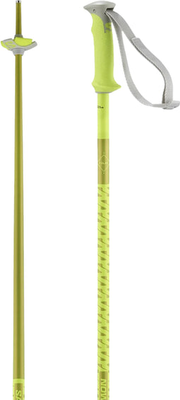 Salomon Polar Alpine Ski Poles