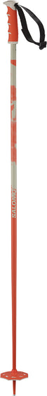 Salomon STEEP ski poles