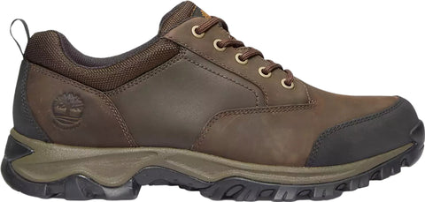 Timberland Mt. Maddsen Waterproof Shoes - Men's