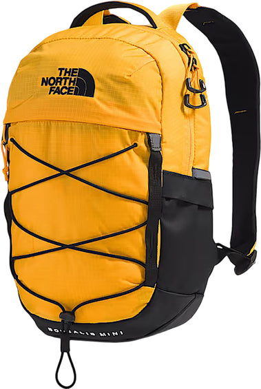The North Face Hot Shot SE Backpack
