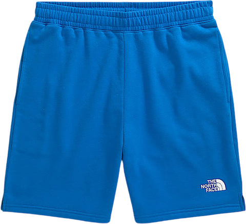 The North Face Evolution Short - Men's