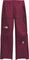 The North Face Summit Series FUTURELIGHT AMK Ski Pants - Women's - Rhododendron