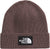 The North Face TNF Logo Box Cuffed Beanie - Unisex - Tawny Quartz