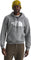 The North Face Evolution Half Dome Hoodie - Men's - TNF Mid Grey Heather