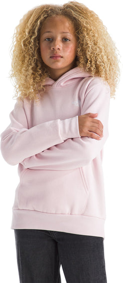The North Face Evolution Box NSE Graphic Pullover Hoodie - Kids