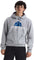 The North Face Evolution BTS Graphic Hoodie - Men's - TNF Pale Grey Heather