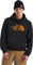 The North Face Evolution Regenerative Ink Half Dome Hoodie - Men's - TNF Black - Summit Gold Regenerative Ink Print