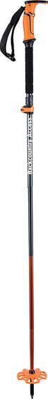 Backcountry Access Scepter 4S Poles