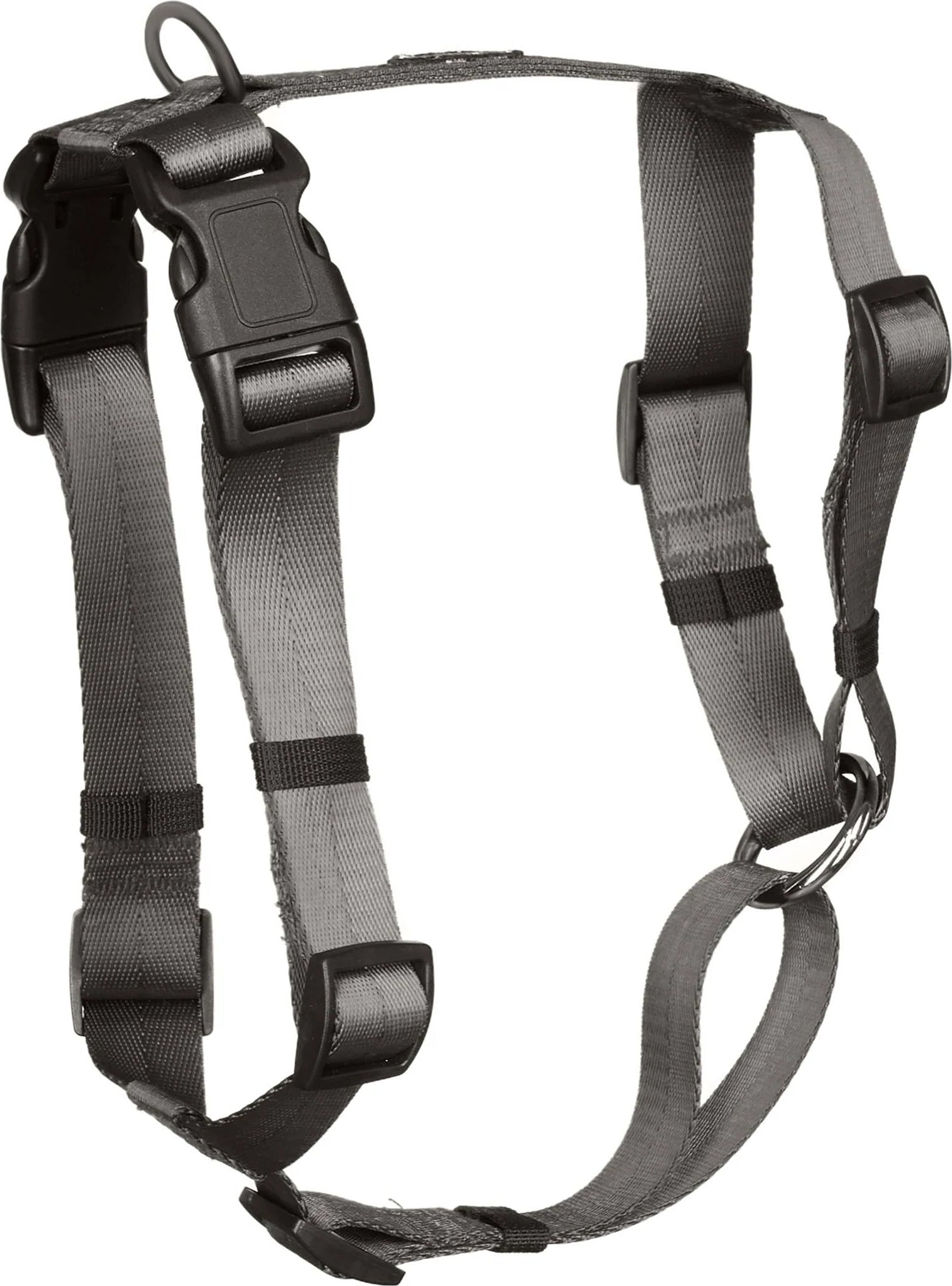 Canadian Canine Anchor Dog Harness Altitude Sports