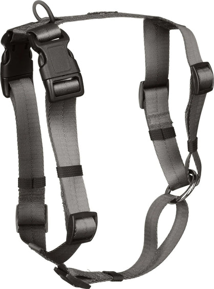 Canadian Canine Anchor Dog Harness