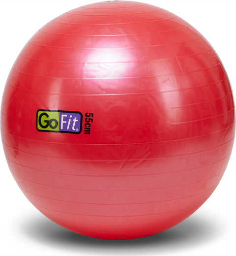 GoFit 55cm Stability Ball