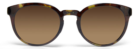 Maui Jim Keanae - Olive Tortoise - HCL Bronze Polarized Lens Sunglasses