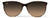 Maui Jim Ocean - Tortoise with Peacock Frame - HCL Bronze Polarized Lens Sunglasses - No Color