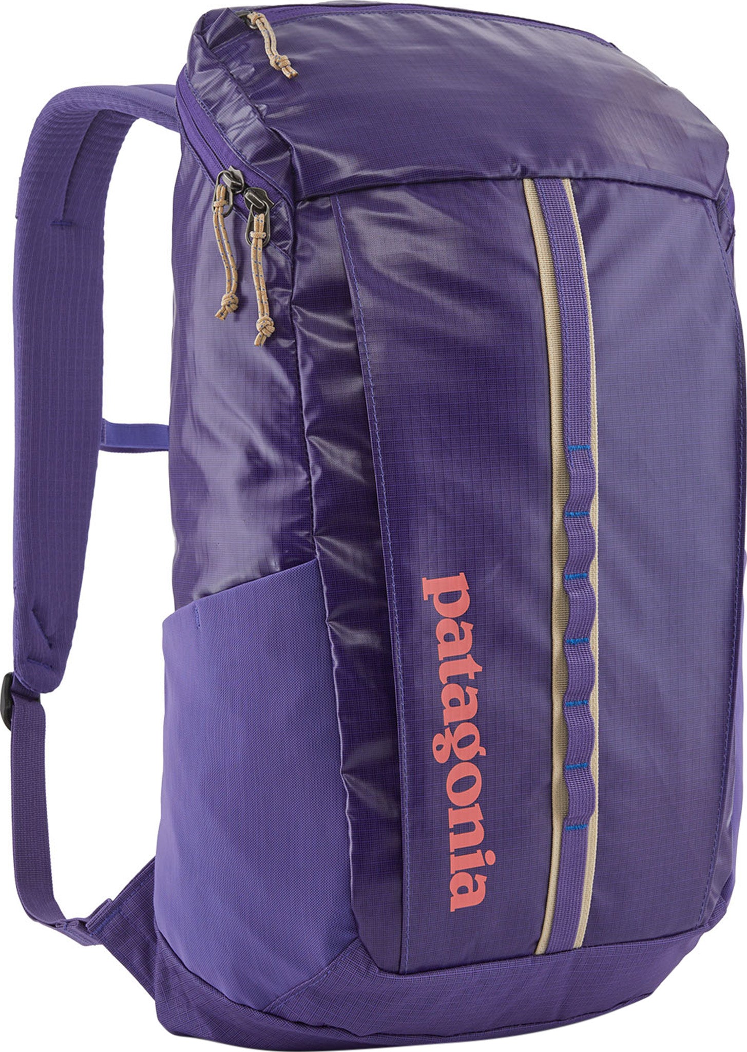 Patagonia black hole backpack purple Clearance