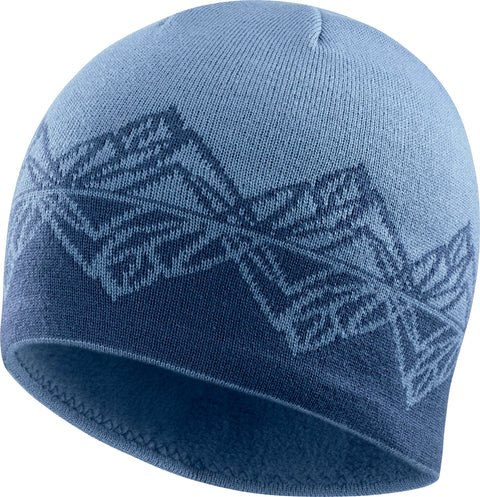 Salomon Graphic Beanie - Unisex