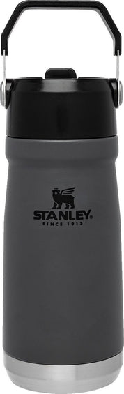 Stanley The IceFlow Flip Straw Water Bottle 17oz