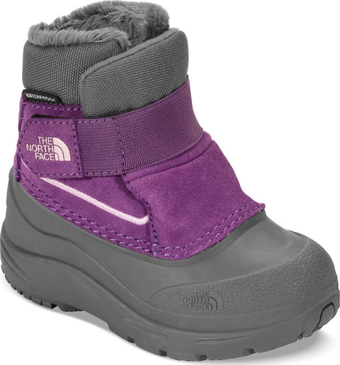The North Face Toddler Alpenglow