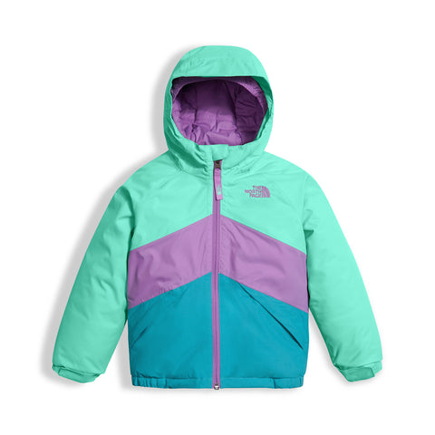 The North Face Brianna Insulated Jacket - Toddler Girl's