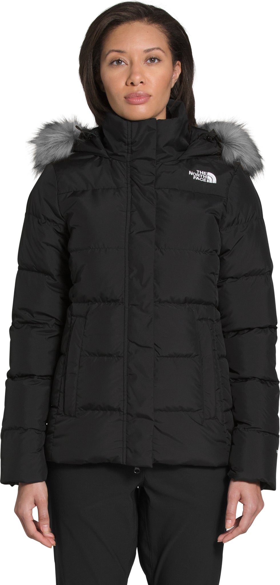 【THE NORTH FACE】GOTHAM DOWN JACKET S-001