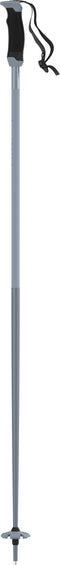 Atomic AMT SQS All-Mountain Poles