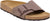 Birkenstock Catalina Birkibuc Mocha Sandals [Narrow] - Unisex - Mocha