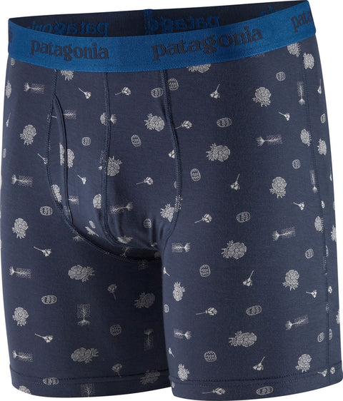 Patagonia Essential 6 In Boxer Briefs - Men's