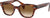 Ray-Ban RB0880S Sunglasses - Unisex - Striped Havana - Clear Gradient Brown