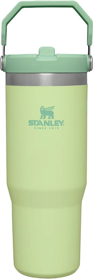 Stanley The IceFlow Flip Straw Tumbler 880mL